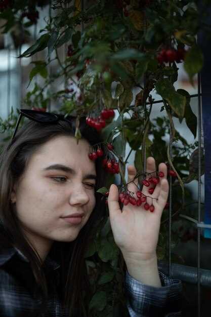 Причины исчезновения искры в двигателе Чери Фора А21
