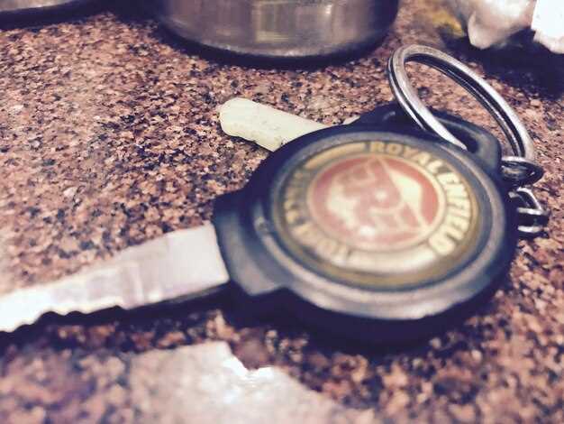 Как интерпретировать мигания или постоянное отображение ключика