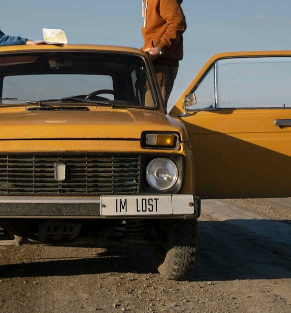 Ремонт или замена тросика: что делать после открытия