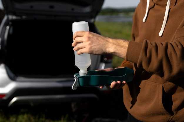 Способы смыва моющих веществ и сушки движка