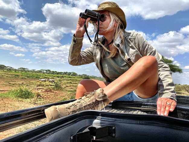 Настройка электросистемы и системы охлаждения