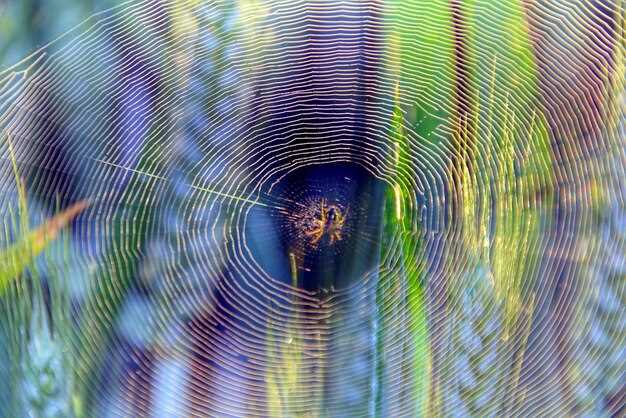 Проверка зазоров, натяжения ремня и компрессии