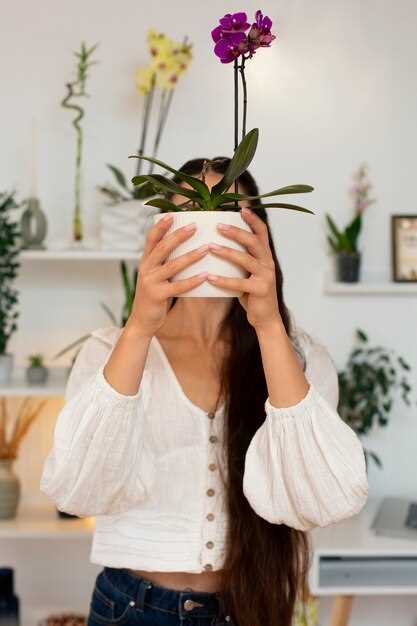 Регулярная чистка фар: что и как очищать для лучшего света