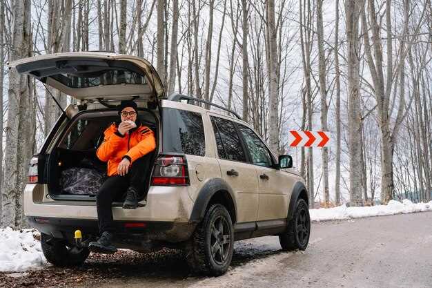 Очистка и замена датчиков AFS