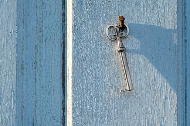 Извлечение старой личинки из замка