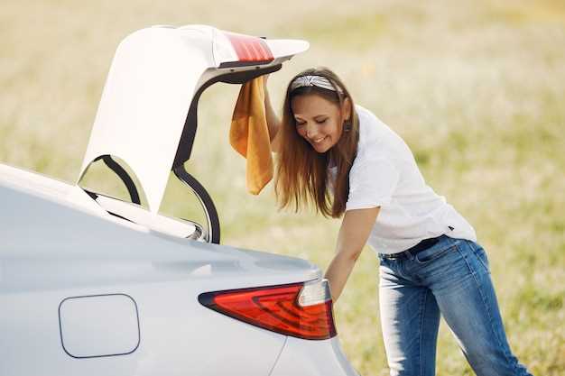 Плюсы и минусы установки оригинальной крышки