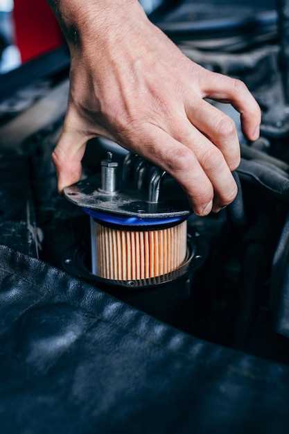 Отличительные характеристики популярных брендов