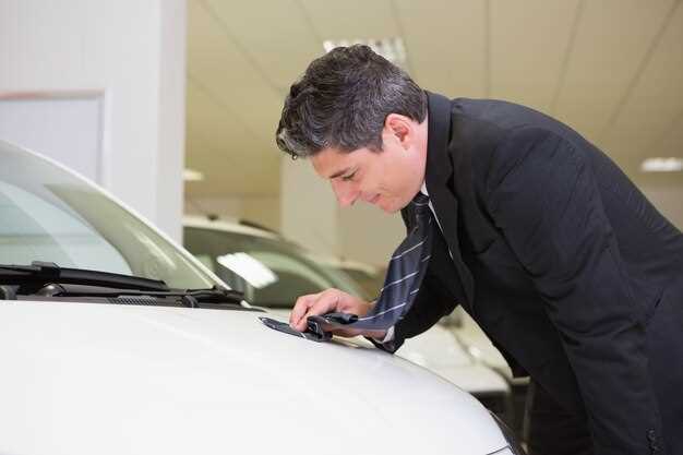 Поддержание чистоты салона и использование средств защиты