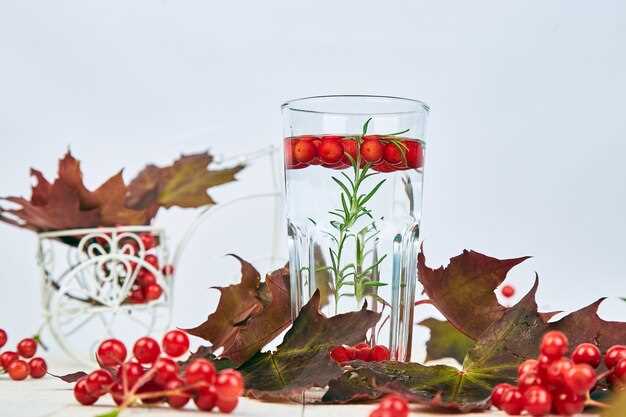 Использование и монтаж передних стоек: особенности и различия