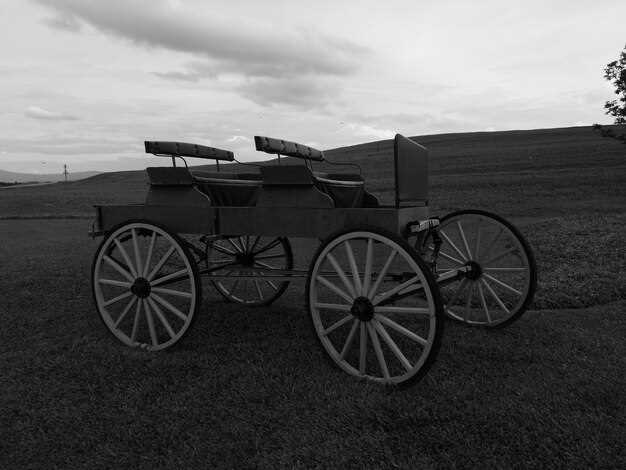 Какие материалы и компоненты использовались в первых автомобилях?