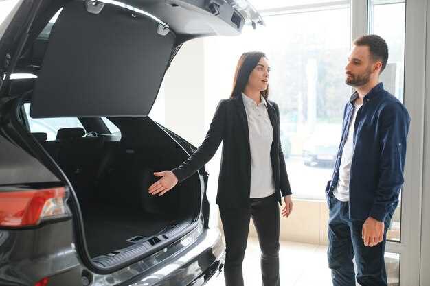 Осмотр и очистка механизма замка