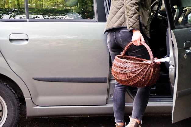 Неисправность электропроводки или предохранителей