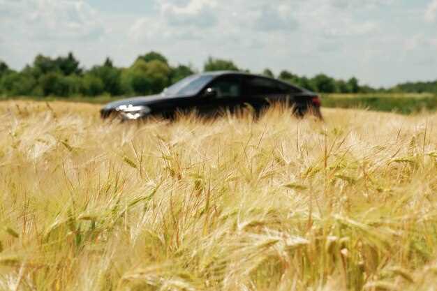 Что делать, если задний омыватель не работает: практические шаги