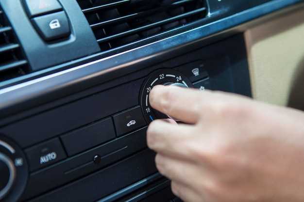 Регулировка и смазка моторных деталей