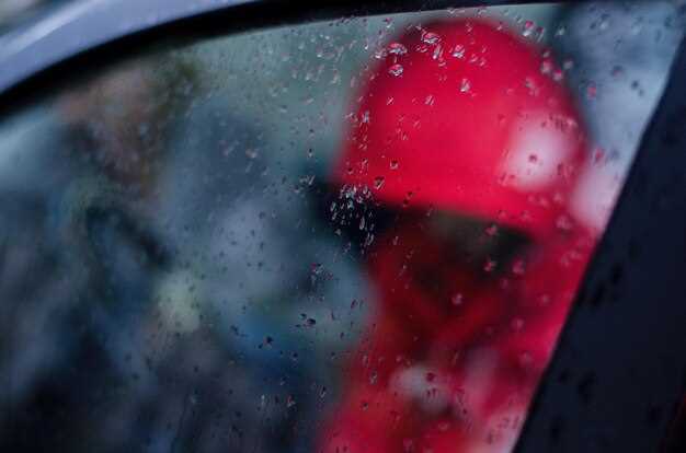 Регулярная очистка стекол от грязи и влаги