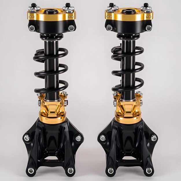 Основные элементы задней подвески: амортизаторы, пружины, стабилизатор