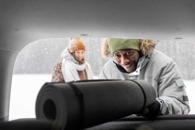 Настройка системы управления климатом и электроприводами