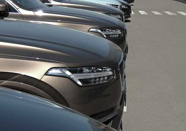 Официальная дата выхода в России и сроки доставки